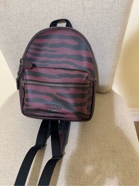 Coach Mini Charlie Zebra-Print Mini Backpack